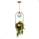 Pendente Terrário Globo De Vidro Com Suporte Para Plantas + Lâmpada Inclusa Pendente Terrário Globo De Vidro Com Suporte Para Plantas + Lâmpada Inclusa