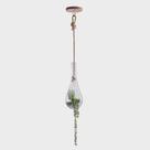 Pendente Terrário Nest Vidro 70 cm Castanho Madelustre