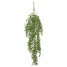 Pendente Verde Dischidia 80cm Pendente Verde Dischidia 80cm