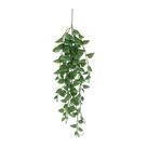 Pendente Verde Jiboia 95cm