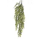 Pendente Videira Verde 80Cm - Bela Flor