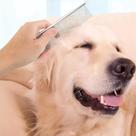 Pente Pets Longos Escova Cachorro Aço Cachorro Gato Desembaraçar Pelos Coleira Alicate Laço Pulga