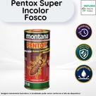 Pentox Super Dupla Ação Contra Cupim e Hidrorrepelente Incolor Base Solvente 900ml Montana Madeira Pentox Super Dupla Ação Contra Cupim e Hidrorrepelente Incolor Base Solvente 900ml Montana Madeira