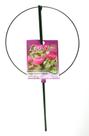 Peônia única grande Flower Support Luster Leaf 987