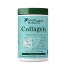 Peptídeos de colágeno em pó Great Lakes Wellness 500mL