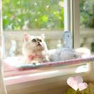 Percha para Ventana de Gato LANERmooos Plegable con Ventosas Resistentes