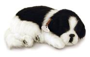 Perfect Petzzz Filhote Cachorro Border Collie