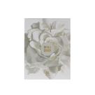 Perfume Ahmed Al Maghribi Almizcle y Rosas 75 mL Unisex