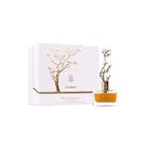 Perfume Árabe Aurora Scents Deciduous Summer 100ml Perfume Árabe Aurora Scents Deciduous Summer 100ml