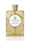 Perfume Atkinsons Gold Fair In Mayfair Eau de Parfum 100ml Masculino Perfume Atkinsons Gold Fair In Mayfair Eau de Parfum 100ml Masculino