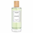 Perfume Chanson D'eau Jasmine Feminino Eau de Toilette Perfume Chanson D'eau Jasmine Feminino Eau de Toilette
