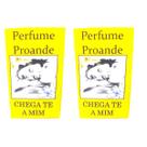 Perfume Chega Te A Mim Atrativo do Amor Sorte Encanto Sedução Paixão Atração Amarração Kit 2 Und