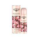 Perfume cuba blossom feminino 100ml - Cuba Paris
