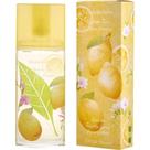 Perfume Feminino Elizabeth Arden Green Tea Citron Freesia Edt Spray 100 Ml Perfume Feminino Elizabeth Arden Green Tea Citron Freesia Edt Spray 100 Ml