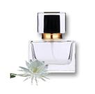 Perfume Feminino Natural Dama Da Noite 30ml Perfume Feminino Natural Dama Da Noite 30ml