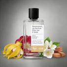 Perfume Feminino Thipos 008 Floral Aldeídico 100ml