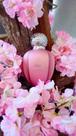 Perfume Kashmir Pink Lou de pre Feminino Eau de Parfum 90ml