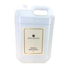 Perfume para Roupas 5 Litros - Mango - Fragrância Tropical Perfume para Roupas 5 Litros - Mango - Fragrância Tropical