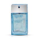 Perfume Sapil Solid Eau de Toilette 100ml para homens
