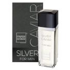 Perfume Silver Caviar 100mL Masculino - Paris Elysses Perfume Silver Caviar 100mL Masculino - Paris Elysses