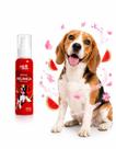 Perfume Spray Colonia Cães Gatos Cheiroso Pet Clean 60ml