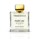 Perfume Tremendous Parfum De Vitalite Parfums 100ml para homens