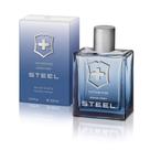 Perfume Victorinox Swiss Army Steel EDT 100mL para homens