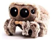 Personagem De Pelúcia Do Filme Lucas A Aranha Brinquedo 16cm