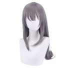 Peruca Cosplay Anime Sakurajima Mai Party Cinza 80 cm Sintética