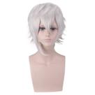 Peruca Cosplay Fates Grand Order Anime Cardok Zemlups Silver