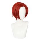 Peruca Cosplay Personas 5 Phantoms X Wonders para cabelo sintético 34cm