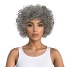 Peruca curta Curly Afro 30cm cinza Costume Cosplay 180g