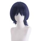 Peruca de cosplay curta azul escuro em camadas com franja de 30 cm de resolução térmica Peruca de cosplay curta azul escuro em camadas com franja de 30 cm de resolução térmica