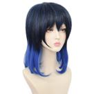 Peruca de cosplay Demons Slayers Hashibiras Inosukes 40cm