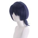 Peruca de cosplay Genshins Impacts Wanderers, cabelo sintético de 30 cm