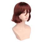 Peruca de cosplay Highs-Rises Invasions, fantasia de anime, cabelo sintético