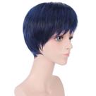 Peruca de cosplay Kurokos Basketball Aomines Daikis Synthetic Hair Peruca de cosplay Kurokos Basketball Aomines Daikis Synthetic Hair