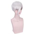 Peruca de cosplay Lands of Lustrous Antarcticites Synthetic Hair Peruca de cosplay Lands of Lustrous Antarcticites Synthetic Hair
