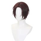Peruca de cosplay Soos Bangs Soos Flys 30 cm de cabelo sintético
