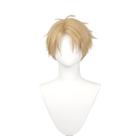 Peruca de cosplay Spys Familys Twilights Anime para cabelo curto 220g