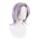 Peruca de cosplay, traje de anime Paths To Nowheres, 40 cm Peruca de cosplay, traje de anime Paths To Nowheres, 40 cm