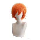 Peruca de cosplay Zootopias Fox Nick para Halloween, Festa, C