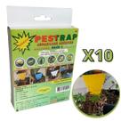 Pestrap Amarela Pega Fungus Gnats Mod V Vaso 12,5x8,5 10 un Pestrap Amarela Pega Fungus Gnats Mod V Vaso 12,5x8,5 10 un