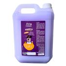 Pet Clean Shampoo 3x1 5L Pet Shop Cães Gatos