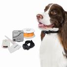 Pet Fence Premier Pet In-Ground para cães pequenos e grandes