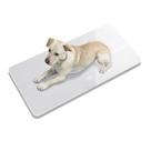 Pet Scale unipaws Digital MAX 100kg Veterinary para cães e gatos