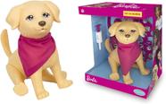 Pet veterinario
