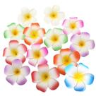 Pétalas de flores de praia Foam Plumeria Rubra Hawaii Frangipani