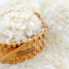 Pétalas de hortênsia secas Eslibin 25g - Branco marfim (1250 pétalas)