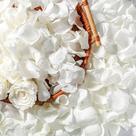 Pétalas de rosa preservadas Eslibin Real Dried Ivory White 45g